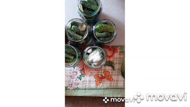 ПРОСТО, БЫСТРО И ВКУСНО!!! Соленые огурцы на зиму. смотреть онлайн