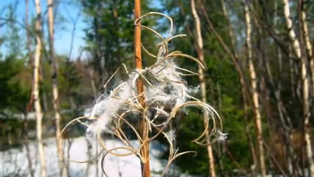 зима встречается с весной