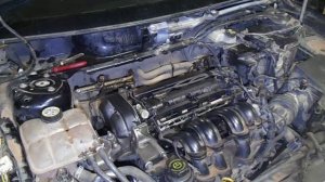 двигатель ford focus 2 мощность 115 л.с. объем 1.6