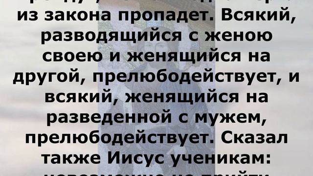 5 минут на Евангелие дня 1 декабря 2023 года смотреть онлайн