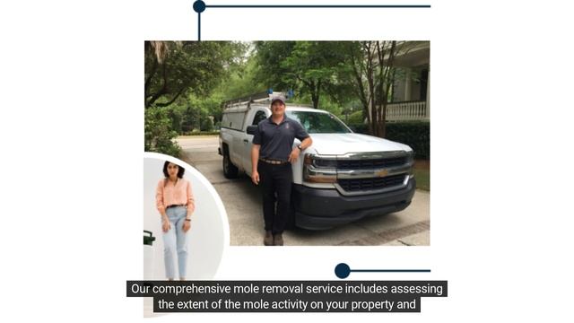Charleston Mole Control - Get Rid of Moles with Metro Wildlife Control смотреть онлайн