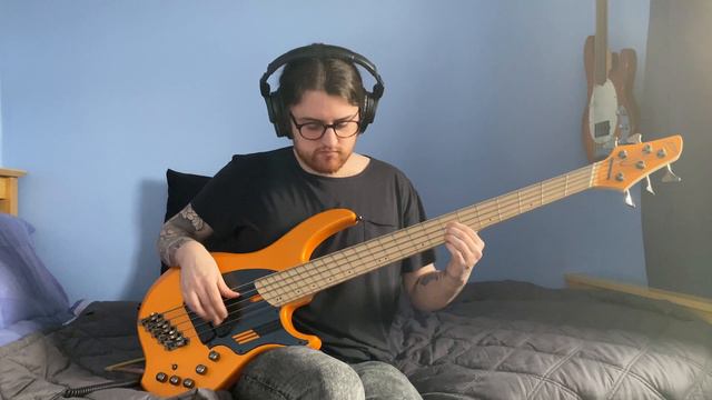 Richard Hawley - Down In The Woods - Bass Cover смотреть онлайн