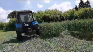 Как скосить овёс на сено? Заготовка корма для крс.