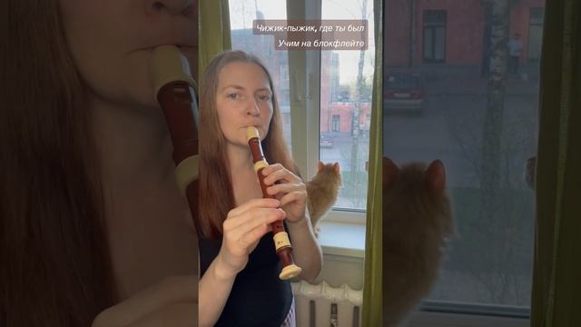 Чижик-пыжик где ты был - учим на блокфлейте сопрано смотреть онлайн