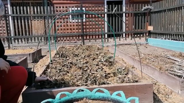 Как перезимовала клубника. смотреть онлайн