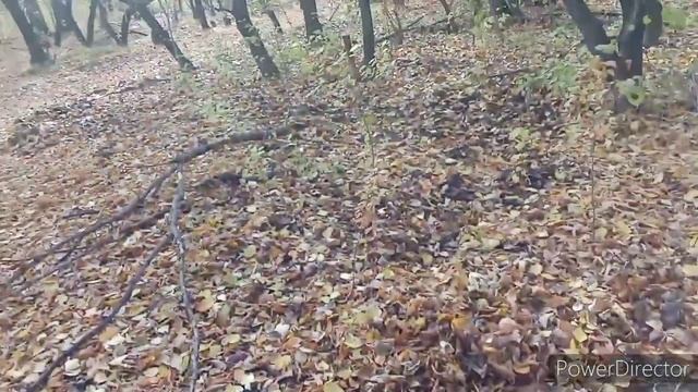 Уборка и гармония