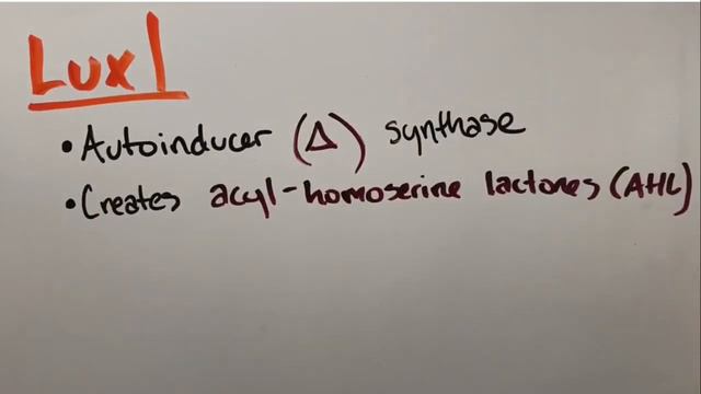 Bioluminescence and Quorum Sensing смотреть онлайн