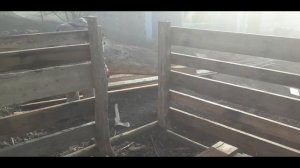 КАК ПОСТРОИТЬ СВИНАРНИК СВОИМИ РУКАМИ//САРАЙ ДЛЯ ПОРОСЯТ//ОБЗОР СВИНАРНИКА//САРАЙ БЕЗ ВЛОЖЕНИЙ