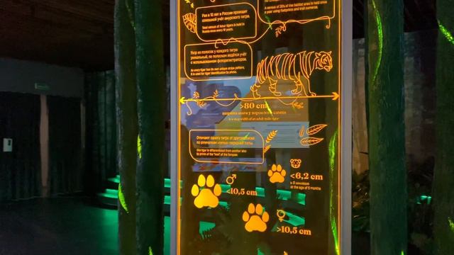 "Дом тигра" на ВЭФ-2022 смотреть онлайн