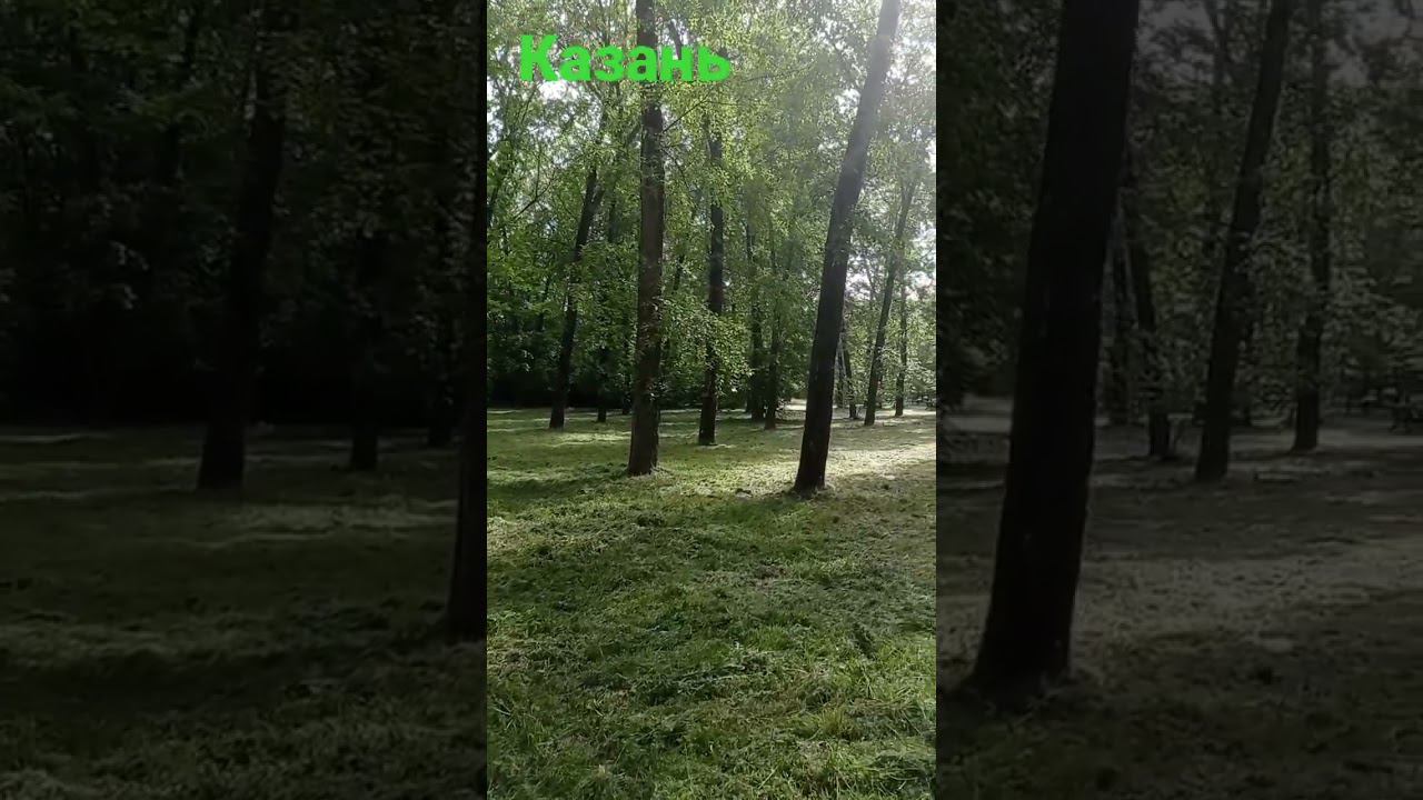 Тополиный пух. Июнь. смотреть онлайн