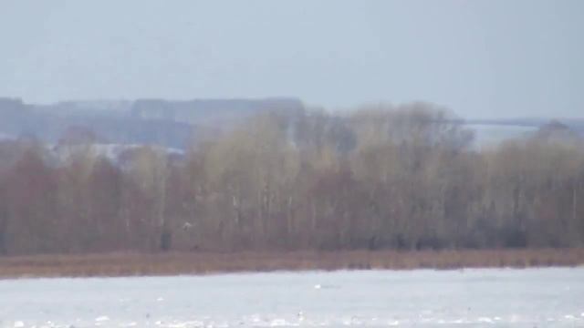 Тест Зума.Canon Powershot SX50 HS.mp4 смотреть онлайн