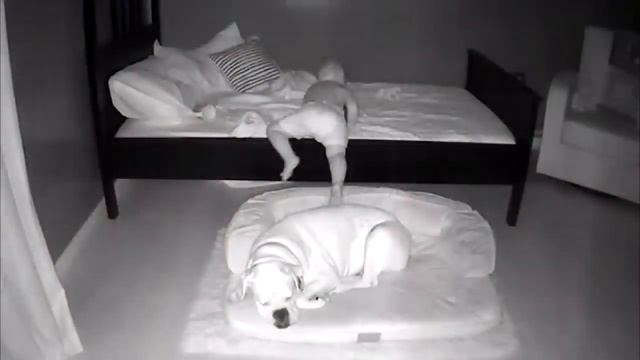 Родители были в ужасе, когда увидели, что делает 2 летний сын по ночам! смотреть онлайн