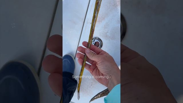 Big Game Booty Summer 2023 #fishing #summer #bootybands #BGB2023 смотреть онлайн