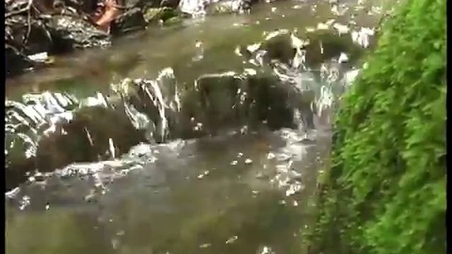 Природа Армении. Дилижан - The Nature Of Armenia. Dilijan