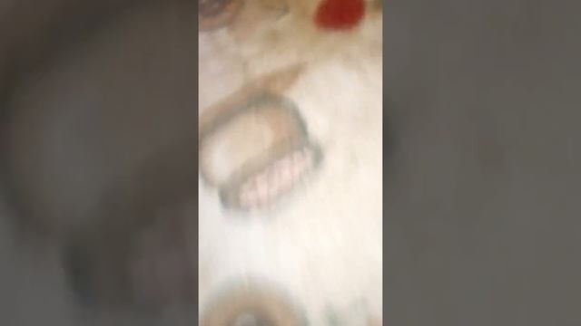 Моя собака боится паука смотреть онлайн