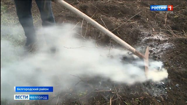 В Белгородской области за прошлую неделю ликвидировали около сотни ландшафтных пожаров смотреть онлайн