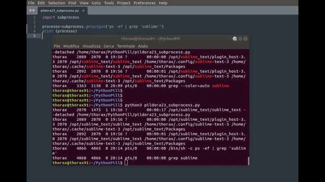 Pildora#23 - Ejecutar comandos de máquina - subprocess смотреть онлайн