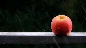 ☔️ НЕЖНЫЙ ШУМ ДОЖДЯ ДЛЯ СНА 3 ЧАСА ✨ УСПОКАИВАЮЩИЕ ЗВУКИ ПРИРОДЫ ДЛЯ СНА ✨ ЗВУК ДОЖДЯ ДЛЯ СНА