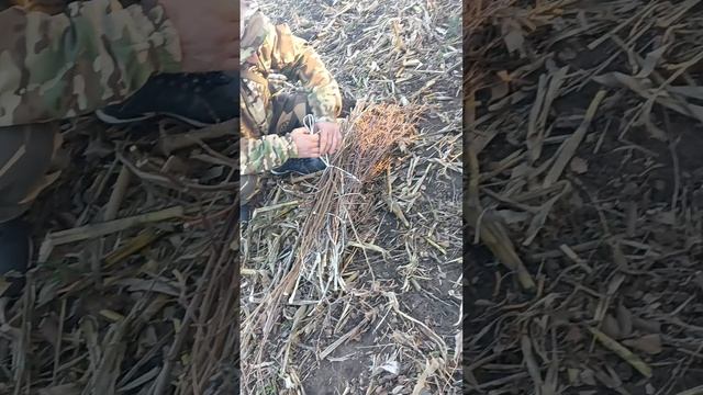 Мы работяги