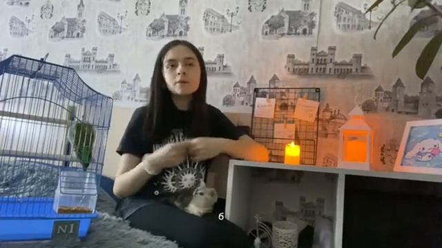 Новый питомец?!?! Как теперь проходят мои дни с животными ? смотреть онлайн