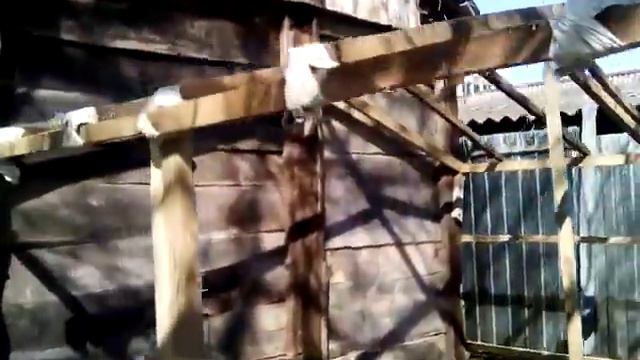 теплица из дров 2 часть смотреть онлайн