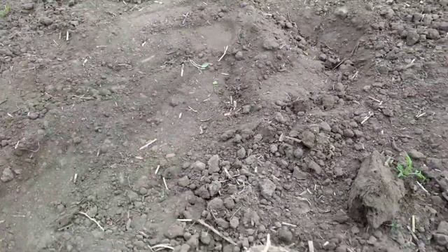 РИСКНУЛ ВЫЕХАЛ НА КОП 2022. НАХОДКИ С ФОРТУНА ПРО 2. смотреть онлайн