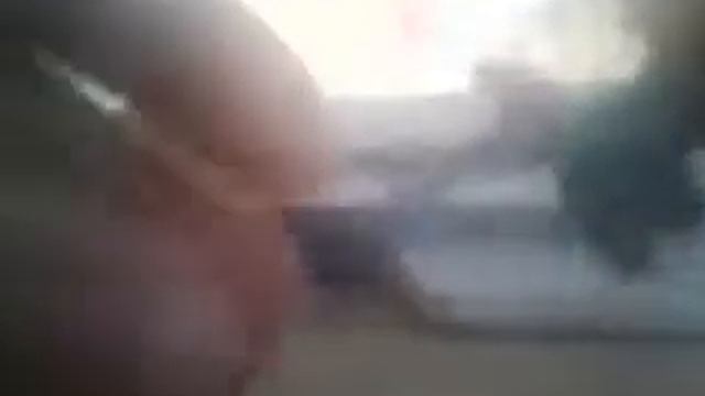 Акула-домовой смотреть онлайн