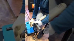 Как поменять патрон на дрели