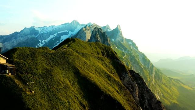 THIS IS PLANET EARTH 8K ULTRA HD • Travel Around the World with Animals 8K & Relaxing Music смотреть онлайн