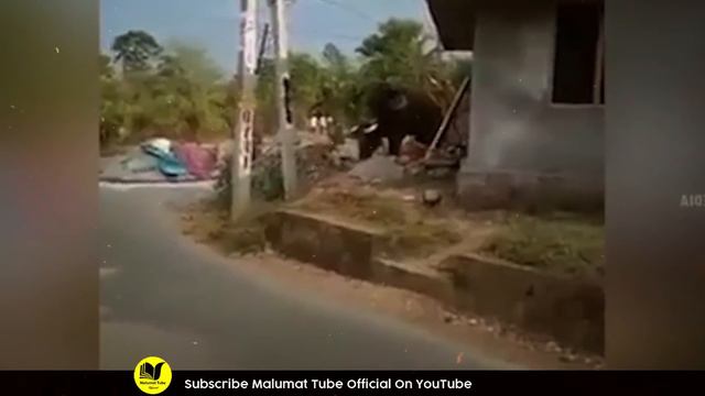 Gawo Main Hathi Aagia Pher Allah Ka Mojza Khod Dikh Lo | Malumattube смотреть онлайн