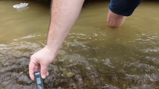 BIOTOP der SCHÖNSTEN Aquarium FISCHE Taiwans! | WILD CAUGHT TAIWAN смотреть онлайн