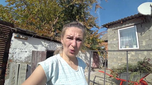 ? Опять без мужа. \\ Кабаний удар по клумбе. \\ Аллергия. смотреть онлайн