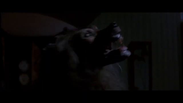 Bad Moon (1996) - Werewolf Fight