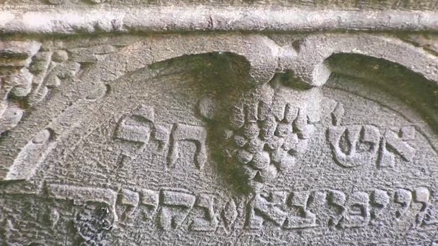 Old Jewish Cemetery (Jewish Museum In Prague)