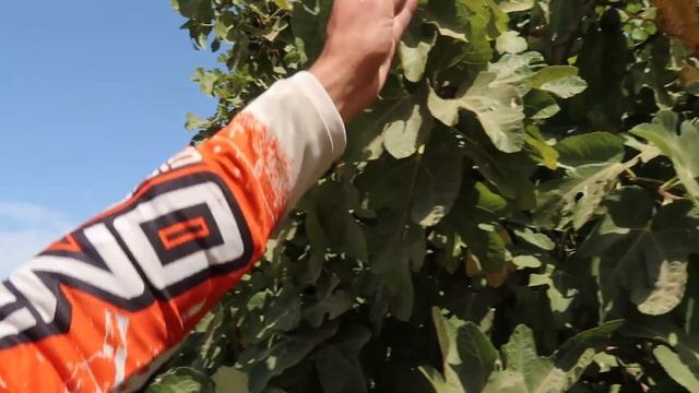 Путешествие на мотоцикле #ИзРоссииНалево 2019 часть 3 смотреть онлайн