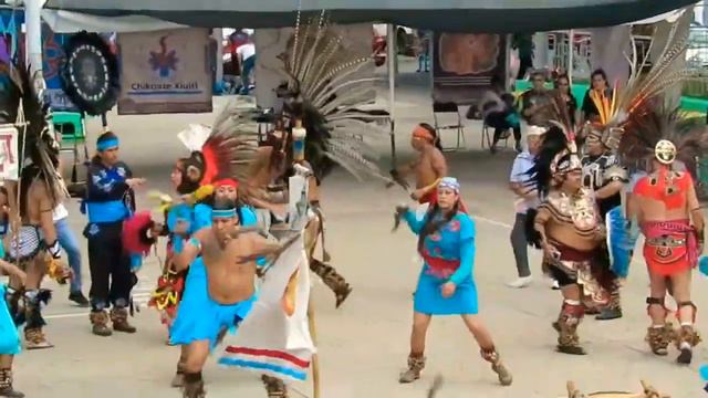 Danza Águila-Jaguar ( Ocelotl-Cuauhtli ) смотреть онлайн