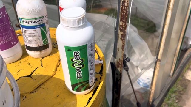 Чем обрабатывать клубнику???? От вредителей, болезней и т.д.??? смотреть онлайн