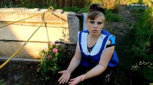 ЛАВАТЕРА цветет! Посадка выращивание уход вредители болезни подкормка размножение лаватеры.