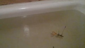 Блесна Краб 65 мм