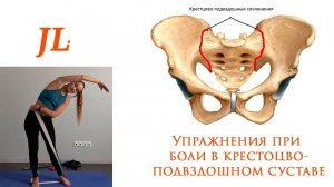 Упражнения при боли в крестцово-подвздошном суставе. Дисфункция КПС.