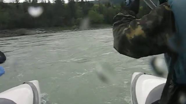 Катунь, шиверки и бочки - на "Белой горячке" смотреть онлайн