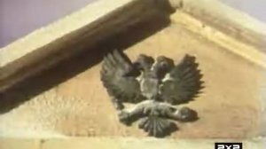 Мультфильм  Ванька Жуков  КИЕВНАУЧФИЛЬМ, 1981 г.mp4