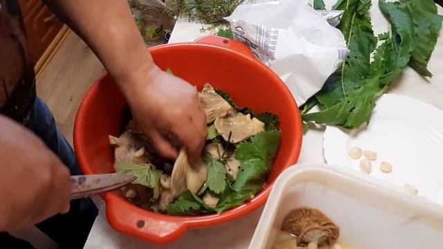 Кинофакты и Теории