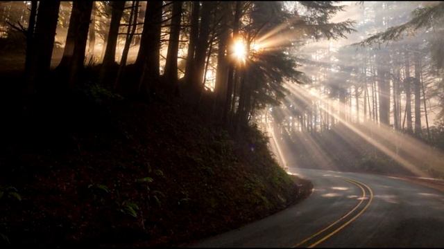 Что такое жизнь на свете. Слова:Вячеслава Динеки. Музыка и исполнение: Николай Макаренко. смотреть онлайн