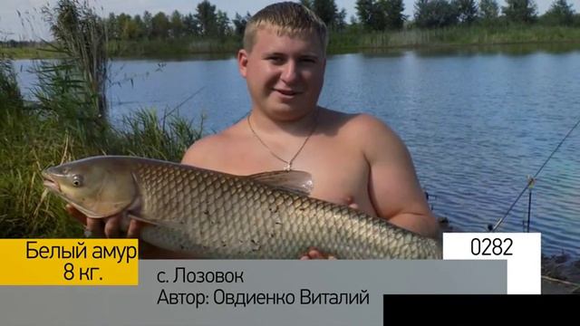 Фотоальбом - Рыбалка №56 смотреть онлайн