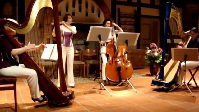 Gymnopedie No.2 (Erik Satie) played by amabilees смотреть онлайн