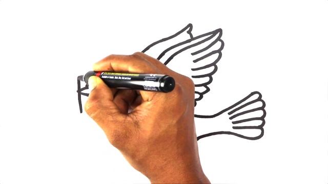 how to draw bird drawing easy coloring painting | pigeon very easy drawing dove cute drawings tips смотреть онлайн