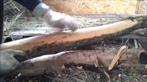 Деревянные столбы для забора и стройки. Заготовка, обработка, хранение.