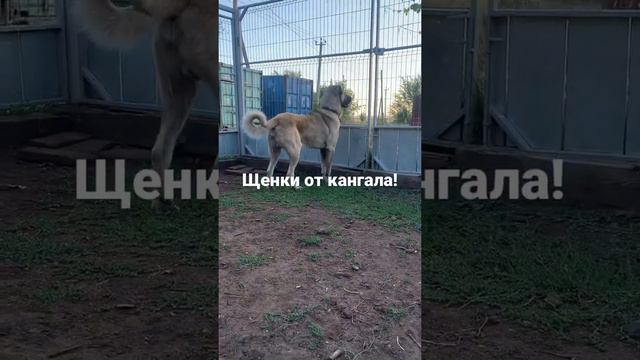 25 ноября 2021 г. смотреть онлайн