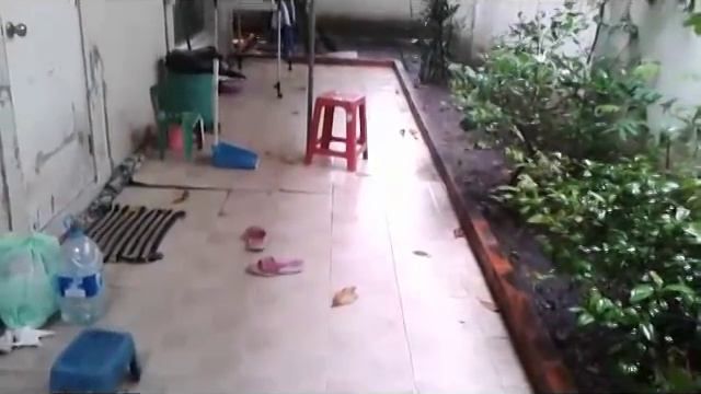 ขายบ้านเดี่ยว ม.พฤกษ์ลดา смотреть онлайн